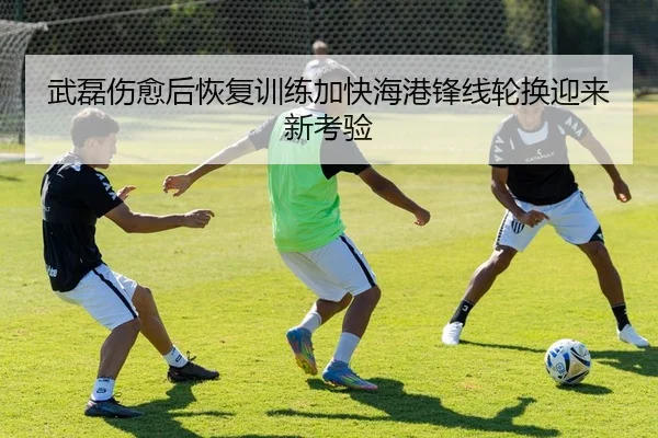 武磊伤愈后恢复训练加快海港锋线轮换迎来新考验