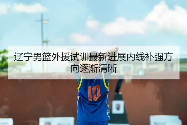 辽宁男篮外援试训最新进展内线补强方向逐渐清晰
